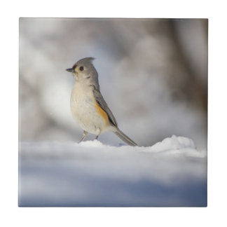 Little Tufted Titmouse in Snow Tegeltje