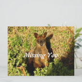 Little Wallaby (Staand voorkant)