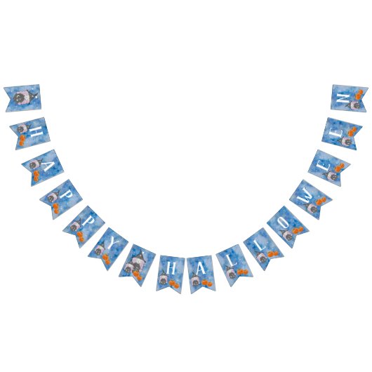 Little Waterverf Witch Halloween Party Bunting Vlaggetjes (Alle)