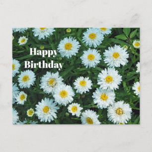 Little White Daisies Floral Photo Birthday Briefkaart