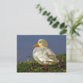 Little White Duck Briefkaart (Staand voorkant)