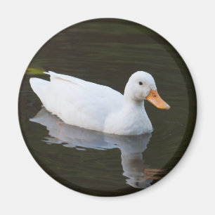 Little White Duck Magneet