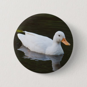 Little White Duck Ronde Button 5,7 Cm