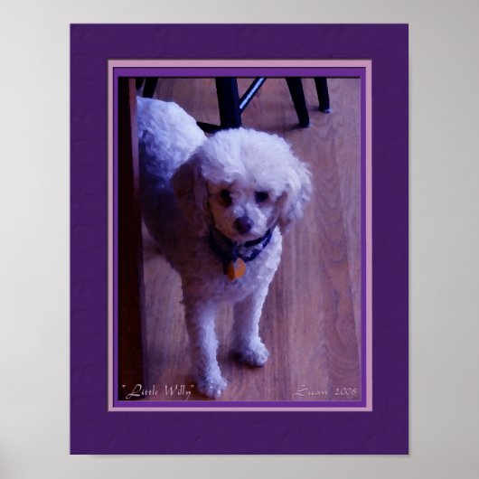 Little Willy Poster (Voorkant)