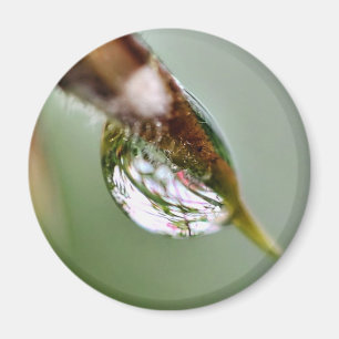 Little World Water Droplet Magneet