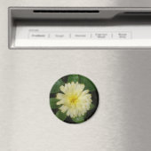Little Yellow Marigold Magnet Magneet (Insitu (Vaatwasser))