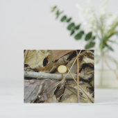 Little Yellow Mushroom Briefkaart (Staand voorkant)