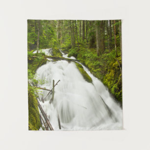 Little Zig Zag Falls Mount Hood National Forest Wandkleed