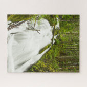 Little Zig Zag Herfsten | Nationaal bos van de Hoo Legpuzzel (Horizontaal)