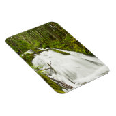 Little Zig Zag Herfsten | Nationaal bos van de Hoo Magneet (Rechterzijde)