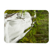 Little Zig Zag Herfsten | Nationaal bos van de Hoo Magneet (Horizontaal)