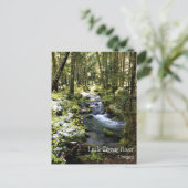 Little Zigzag River, Oregon Carte postale (Debout devant)