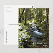Little Zigzag River, Oregon Carte postale (Devant / Derrière)