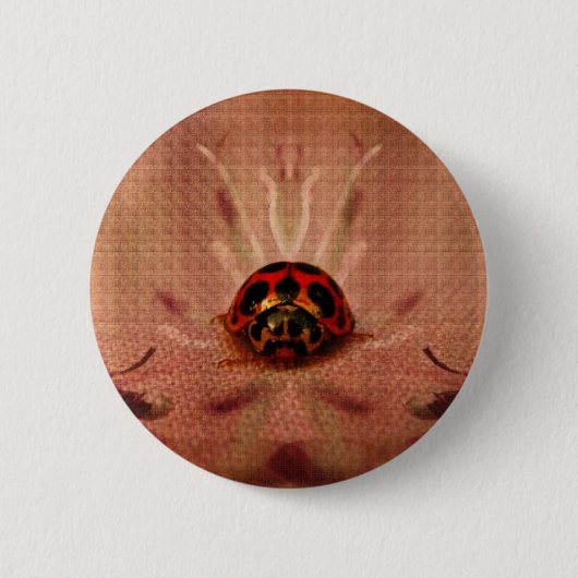 LittleLadyBug Ronde Button 5,7 Cm (Voorkant)