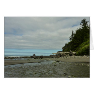 Littoral de Californie du Nord depuis Redwood Park