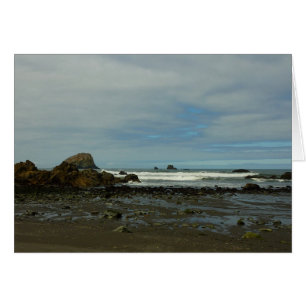 Littoral Pacifique au Parc national de Redwood