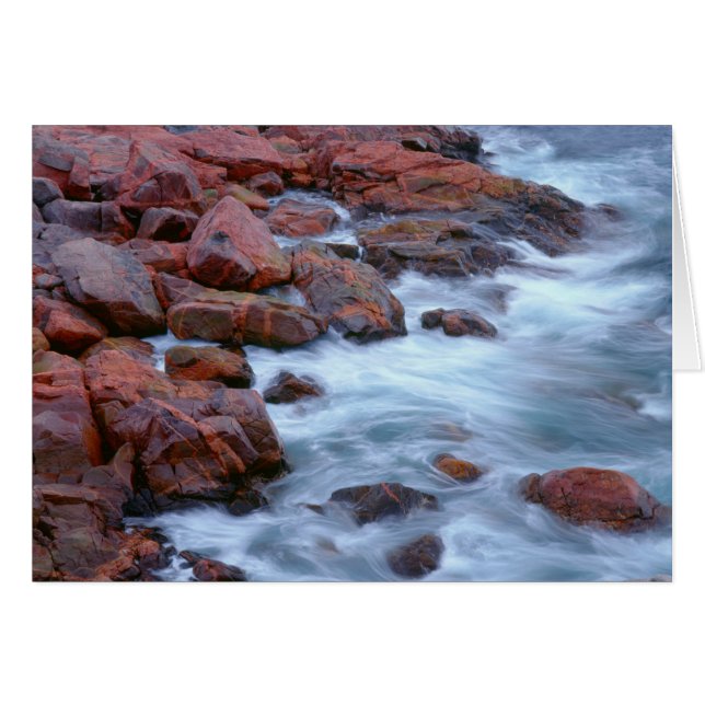 Littoral rocheux avec eau, Canada (Devant horizontal)
