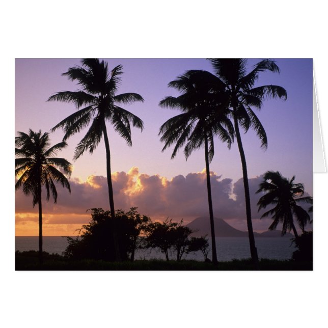 Littoral St. Kitts (Devant horizontal)