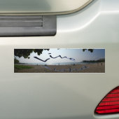 Live Aloha Bumpersticker (Op auto)
