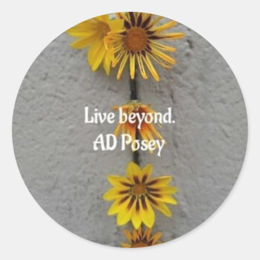 Live Beyond Sticker (Devant)