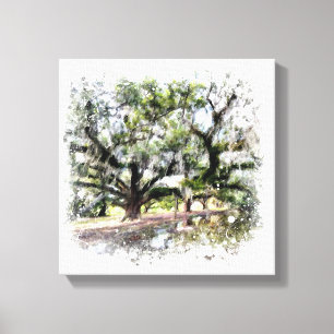 *~* Live eik New Orleans Living Oaks Art Painting Canvas Afdruk