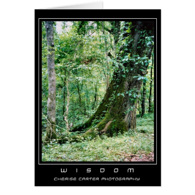 Live en leer (Voorkant)