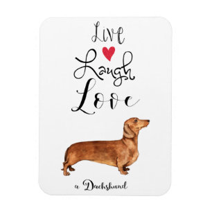 Live Laugh Love a Dachshund Magnet Magneet