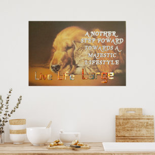 Live Life Large heeft een leuke dag kat en hond-ku Poster