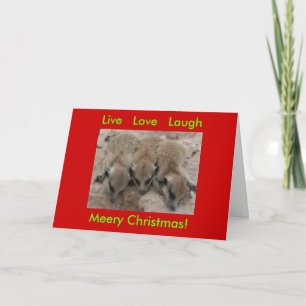 Live Love Laugh - Meerkat Feestdagen Kaart