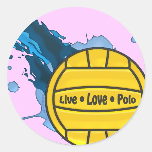 Live Love Polo - Stickers Water Polo (Devant)