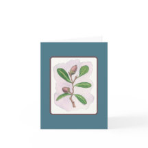 Live Oak Kaart: Blauw en Bruin