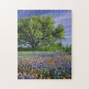 Live Oak & Texas Paintborstel, en Texas Legpuzzel