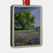 Live Oak & Texas Paintborstel, en Texas Metalen Ornament (Rechts)