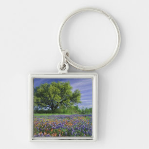 Live Oak & Texas Paintbrush, en Texas Sleutelhanger
