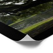 Live Oaks - Louisiana Poster (Hoek)