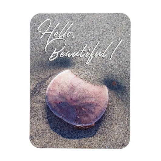 Live Sand Dollar Photo Bonjour Magnet (Vertical)