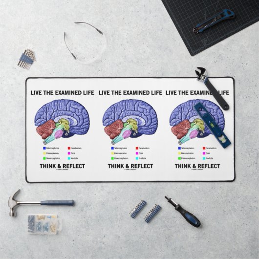Live The Examiné Life Think & Reflect Conseils (Poste de travail)