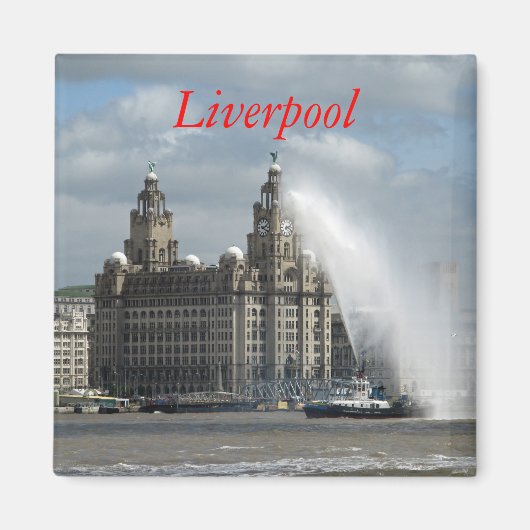 Liver Building - Fridge Magnet Magneet (Voorkant)