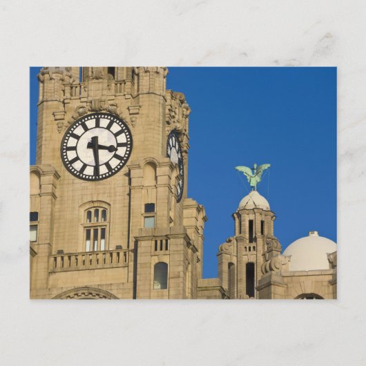 Liver Building, Liverpool, Merseyside, Engeland Briefkaart (Voorkant)