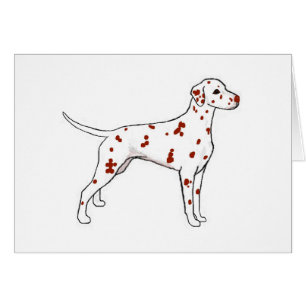 Liver Dalmatian