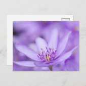 Liverleaf Briefkaart (Voorkant / Achterkant)