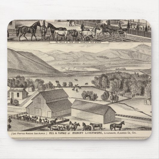 Livermore, Bardellini, boerderijen, hotel Muismat (Voorkant)