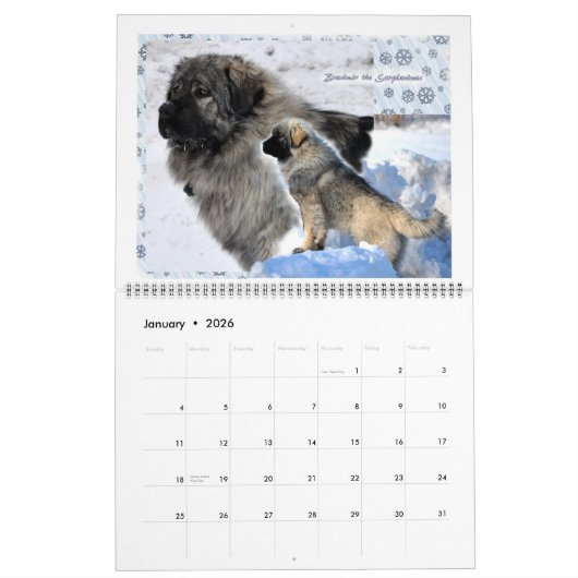 Livestock Guardian Dogs 2015 HUGE Kalender (Jan 2026)