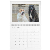 Livestock Guardian Dogs 2015 HUGE Kalender (Mar 2026)