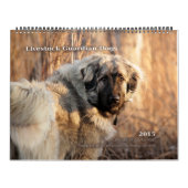 Livestock Guardian Dogs 2015 HUGE Kalender (Hoes)