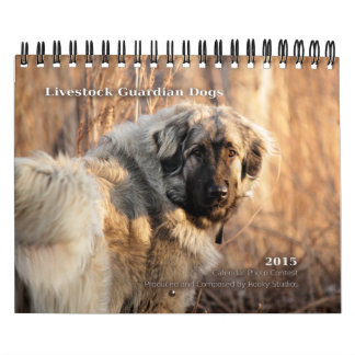 Livestock Guardian Dogs 2015 small Kalender