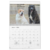 Livestock Guardian Dogs 2015 standaardformaat Kalender (Mar 2026)