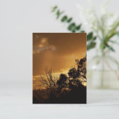 Living Art Uitzicht Briefkaart (Staand voorkant)