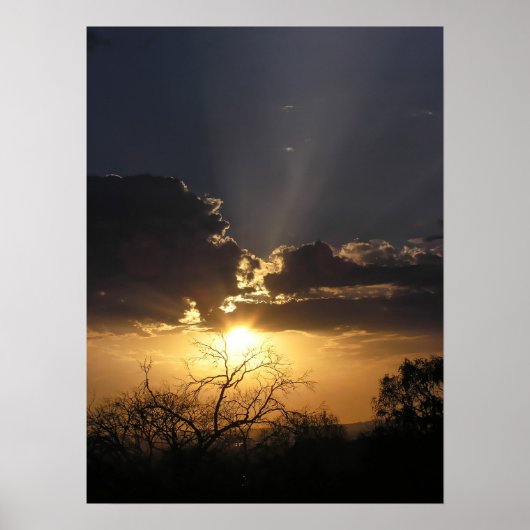 Living Art Uitzicht Poster (Voorkant)