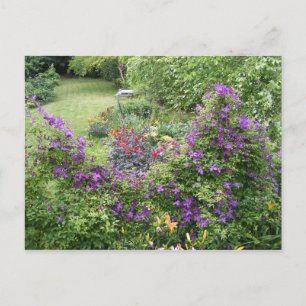 Living Fence ~ carte postale